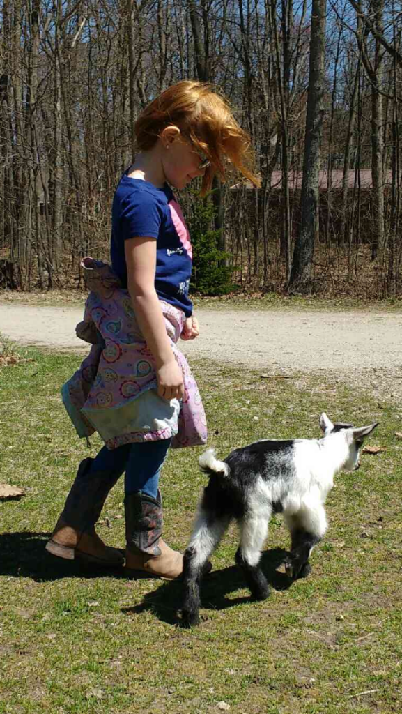 goat, goat girl, walking with a goat